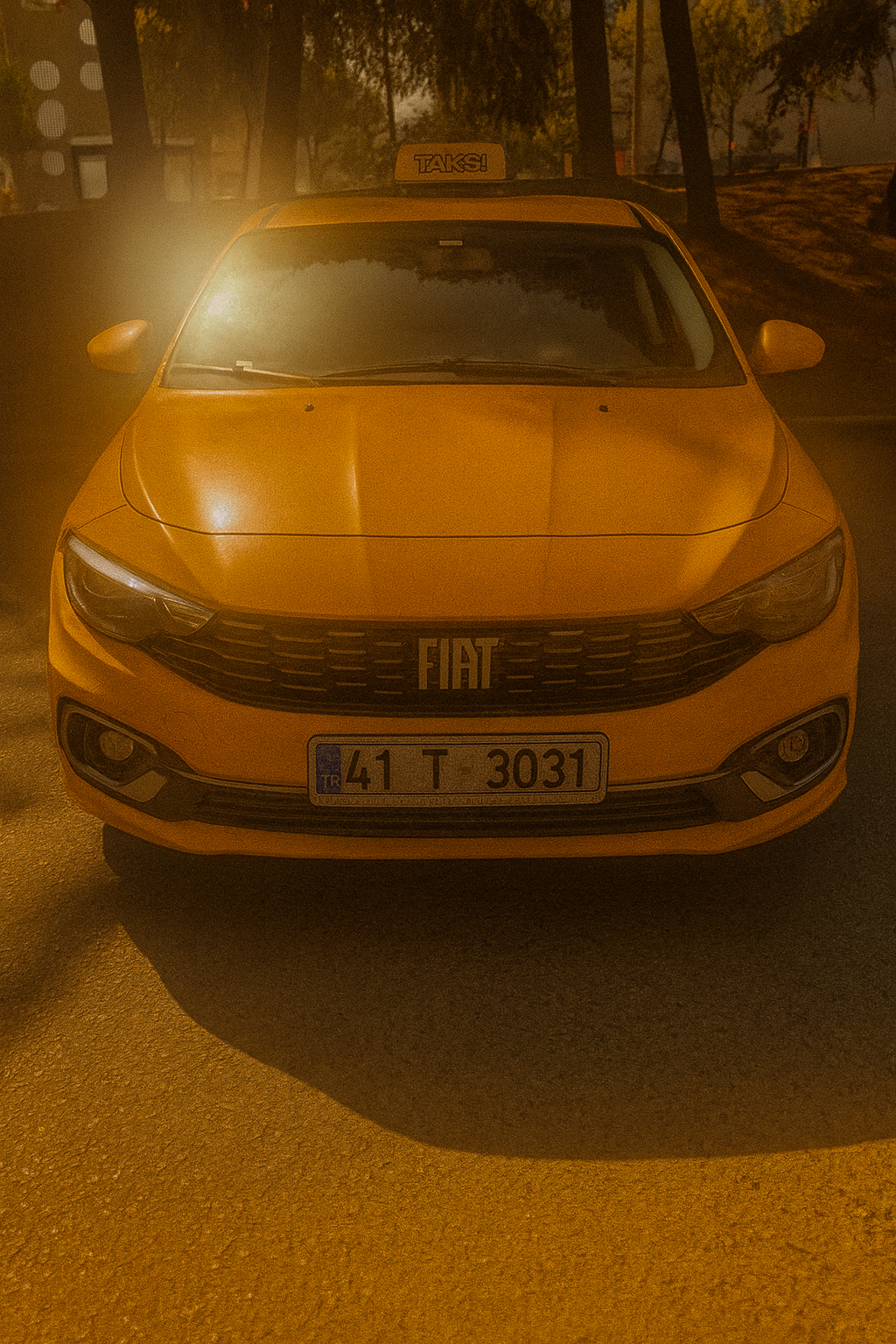 FIAT EGEA - 41T3031