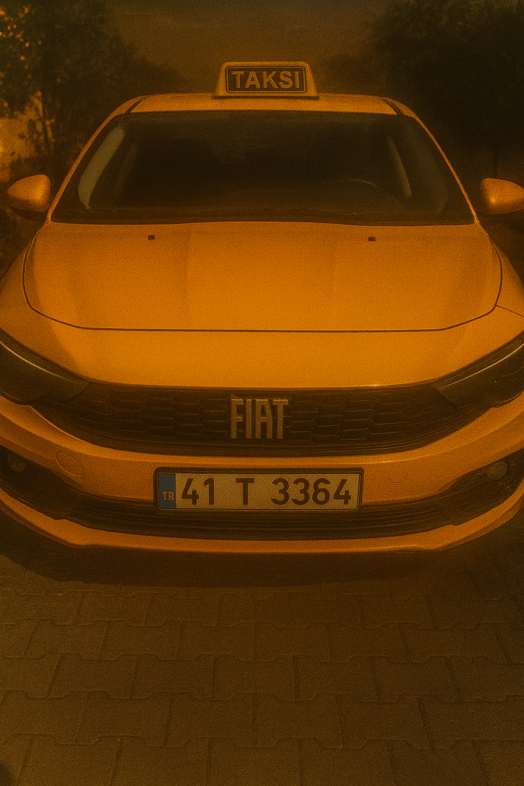 FIAT EGEA - 41T3364